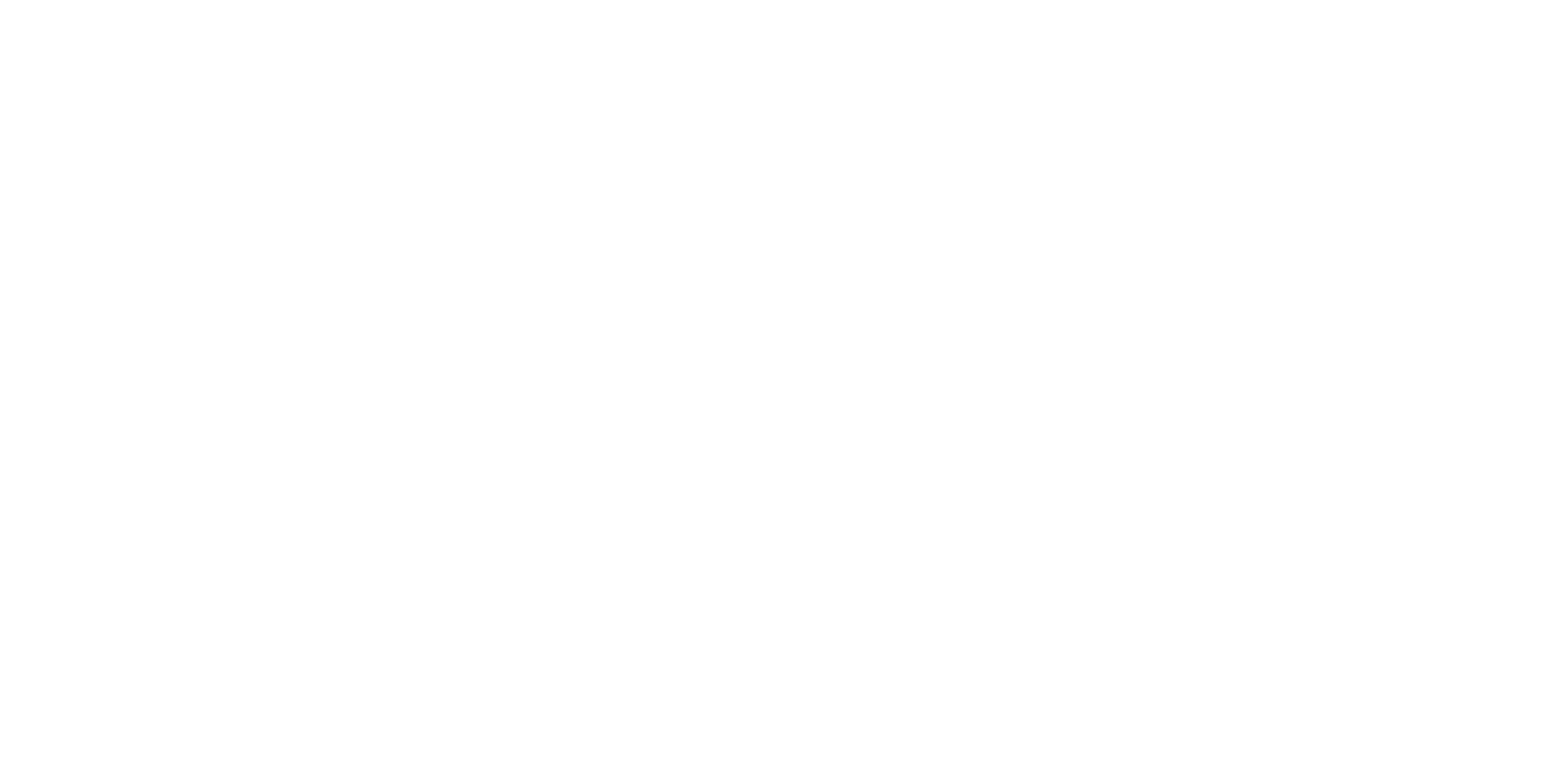 Logo full white